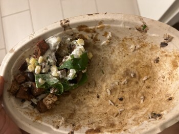 Consumer Review - Food Safety Chipotle Mexican Grill, 291 East Ontario Street, Chicago, IL, USA Wow just had a bowl an hour ago an... photo #1