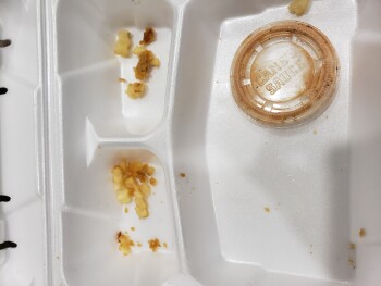 Consumer Review - Food Safety Raising Cane's Chicken Fingers, East League City Parkway, League City, TX, USA Last night, November... photo #1