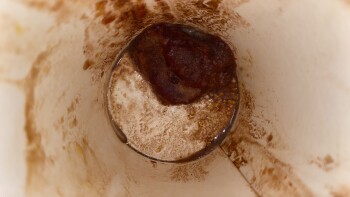 Reseña del consumidor - Seguridad alimentaria Costa Coffee, Drive Thru, Loughborough LE11 2FF, United Kingdom drive through sold me coffee and My... foto #2