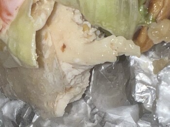 Consumer Food Safety Report Sonic Drive-In, Veterans Memorial Boulevard, Kenner, LA, USA New update today me and my son are both... photo #3