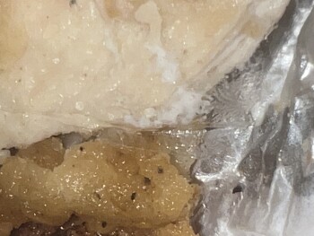 Consumer Food Safety Report Sonic Drive-In, Veterans Memorial Boulevard, Kenner, LA, USA New update today me and my son are both... photo #4