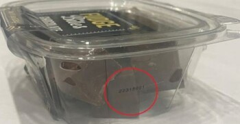 نذكر الطعام Fudgeamentals Chocolate fudge bites - recalled due to Undeclared walnuts Fudgeamentals of Melville,... صورة فوتوغرافية #2