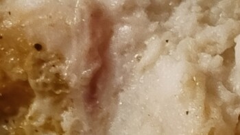 Consumer Review - Food Safety Texas Roadhouse, West Ridge Road, Rochester, NY, USA On 11/18/2022 around 7pm my family and I went t... photo #5