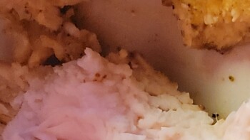 Consumer Review - Food Safety Texas Roadhouse, West Ridge Road, Rochester, NY, USA On 11/18/2022 around 7pm my family and I went t... photo #6