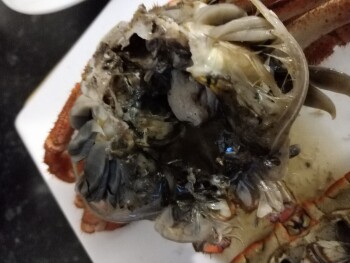 Consumer Food Safety Report Crab, London, UK Home, Just cooked crab and eaten some but inside the shell it was very black photo #4