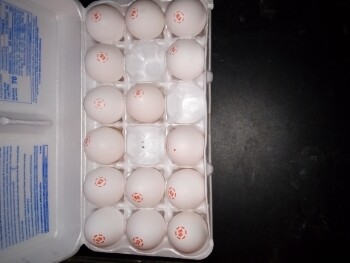 Consumer Review - Food Safety Winn-Dixie, U.S. 280, Alexander City, AL, USA I purchased the eagle brand eggs 18 count with the red... photo #6