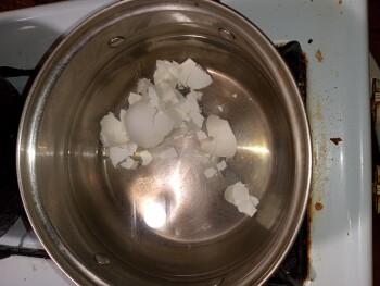 Consumer Review - Food Safety Winn-Dixie, U.S. 280, Alexander City, AL, USA I purchased the eagle brand eggs 18 count with the red... photo #9