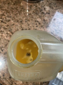 Consumer Review - Food Safety Langer Orgagic Mango Juice, Costco Wholesale, Tampa Avenue, Northridge, Los Angeles, CA, USA Hello,... photo #2