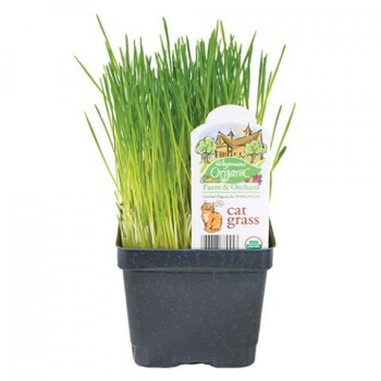 Food Recall Wegmans Organic Microgreens, sweet pea leaves, cat grass - recalled due to Salmonella Wegmans Food M... photo #2