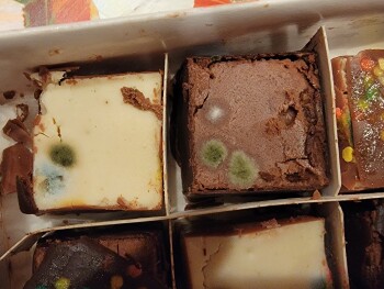 Consumer Review - Food Safety Shari's Berries cheesecake, 1-800-Flowers, Jericho Plaza, Jericho, New York, USA Their Shari's Berri... photo #3