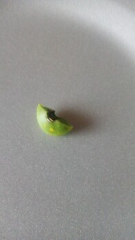 مراجعة المستهلك - سلامة الغذاء Sack 'N Save, East Main Street, Chillicothe, OH, USA I actually chipped a tooth off on something tha... صورة فوتوغرافية #2