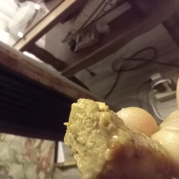 Consumer Review - Food Safety Food Lion, Clippers Way, Sunset Beach, NC, USA Dinty Moore stew beef, I've been sick since last nigh... photo #3