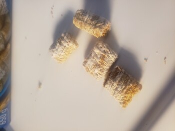 Consumer Review - Food Safety Kellogg's mini wheats, Co-op Food Store, 2 Street, Thorhild, AB, Canada My son ate a bowl of kellogs... photo #2