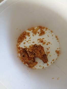 消费者评论 - 食品安全 KFC Avignon Mistral, Chemin de l'Herbe, Avignon, France Hier soir j'ai acheté un bucket de poulet à... 照片 #1