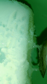 Consumer Review - Food Safety PENNY, Sturmbühlstraße, Schwenningen, Deutschland Zitronen Sorbet gekauft, öfter davon Übelkeit, Dur... photo #1