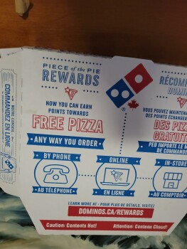 Consumer Review - Food Safety Domino's Pizza, Taschereau Boulevard, Brossard, QC, Canada I got Nausea, I got sick after a couple h... photo #2