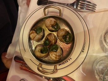 Consumer Review - Food Safety Café de la Rotonde, Boulevard du Montparnasse, Paris, France Friday,  oysters we had dinner on Frida... photo #3