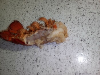 Verbraucherbewertung – Lebensmittelsicherheit H-E-B, 5910 Babcock Road, San Antonio, TX, USA Yesterday I purchased a delivery order and what it wa... Foto #2