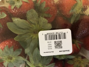 消费者评论 - 食品安全 Sam's Club, Airport Road, Ames, IA, USA Bought strawberry on 3/5 Sunday tried 1-2 after dinner and t... 照片 #2