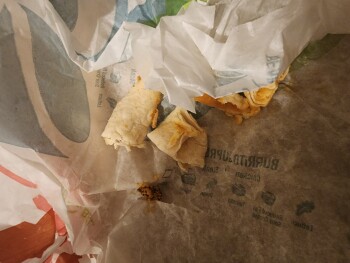 Avis du consommateur - Sécurité alimentaire Taco Bell, North Main Street, Shelbyville, TN, USA My daughter went to there last night and got 2 be... photo #2