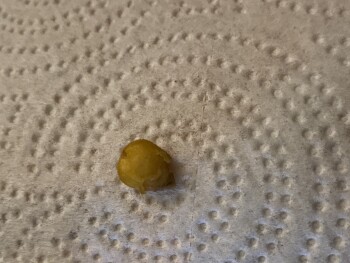 Consumer Food Safety Report Walmart Supercenter, Bashford Manor Lane, Louisville, KY, USA Me and mom were eating the bean and ch... photo #1
