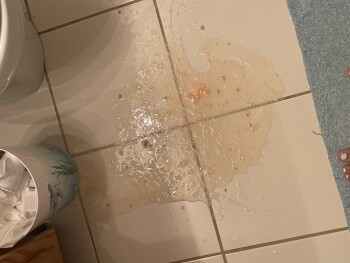 Consumer Review - Food Safety Sam's Club, South Harlem Avenue, Tinley Park, IL, USA Suspected food poisoning. Symptoms: Diarrhea,... photo #2