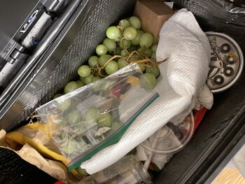 Consumer Review - Food Safety Costco Wholesale, Centerton Road, Mount Laurel Township, NJ, USA March 22,2023,  Green grapes bought... photo #3