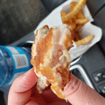 Consumer Review - Food Safety Chicken Delight | Pembina Hwy, Pembina Highway, Winnipeg, MB, Canada I was here and ordered a slice... photo #2