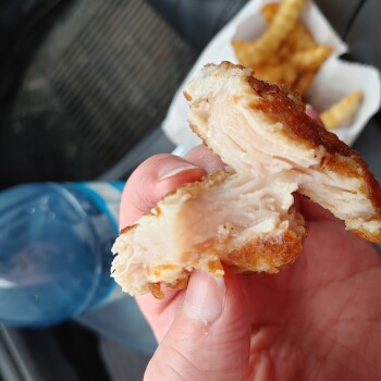 Consumer Review - Food Safety Chicken Delight | Pembina Hwy, Pembina Highway, Winnipeg, MB, Canada I was here and ordered a slice... photo #3