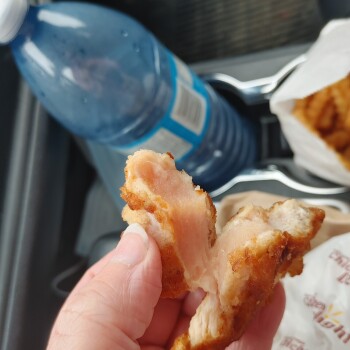 Consumer Review - Food Safety Chicken Delight | Pembina Hwy, Pembina Highway, Winnipeg, MB, Canada I was here and ordered a slice... photo #5