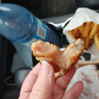 Consumer Review - Food Safety Chicken Delight | Pembina Hwy, Pembina Highway, Winnipeg, MB, Canada I was here and ordered a slice... photo #6