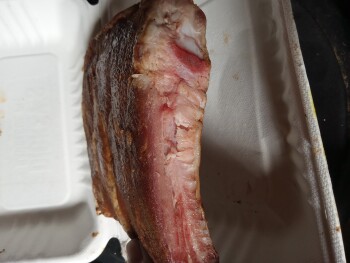 Consumer Review - Food Safety Dickey's Barbecue Pit, Wyoming Boulevard Northeast, Albuquerque, NM, USA Yesterday pork ribs It was... photo #2