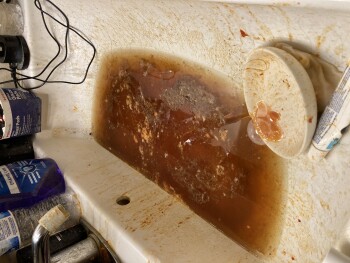 Consumer Review - Food Safety Taco Bell, Highland Road, White Lake charter Township, MI, USA Suspected food poisoning. Symptoms: D... photo #2