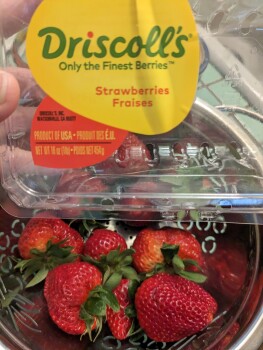 مراجعة المستهلك - سلامة الغذاء Strawberries, ALDI, East Huntington Drive, Monrovia, CA, USA Suspected food poisoning. Symptoms: Dia... صورة فوتوغرافية #2