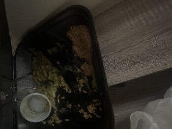 Consumer Review - Food Safety Filiberto's Mexican Food, 3565 East Broadway Road, Mesa, AZ, USA photo #3