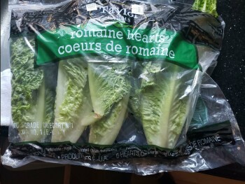 Consumer Review - Food Safety Costco Wholesale, Southbank Boulevard, Okotoks, AB, Canada Today romaine lettuce Two of my young chi... photo #2