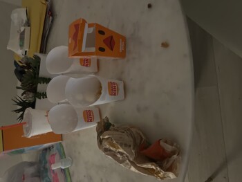 Consumer Review - Food Safety Burger King, West Esplanade Avenue, Kenner, LA, USA Suspected food poisoning. Symptoms: Diarrhea, Na... photo #1