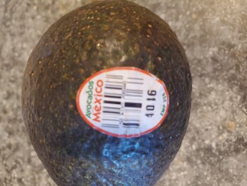 Consumer Review - Food Safety Shaw's, Main Street, Montpelier, VT, USA photo #2