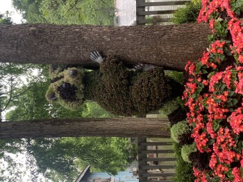 مراجعة المستهلك - سلامة الغذاء Dollywood, Dollywood Parks Boulevard, Pigeon Forge, TN, USA On May 28  at the Flower/Food Festival a... صورة فوتوغرافية #2