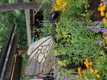 مراجعة المستهلك - سلامة الغذاء Dollywood, Dollywood Parks Boulevard, Pigeon Forge, TN, USA On May 28  at the Flower/Food Festival a... صورة فوتوغرافية #3