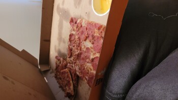 Consumer Review - Food Safety Little Caesars Pizza, Missouri Boulevard, Jefferson City, MO, USA I just ate the combo meal with thi... photo #1