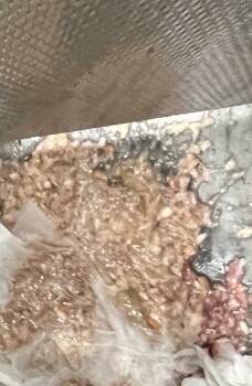 Consumer Review - Food Safety KFC, Old National Highway, Atlanta, GA, USA At 5p I was in Drive Thru and I ordered a breast and a w... photo #2