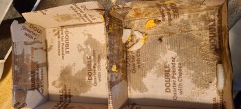 Consumer Review - Food Safety McDonald's, Ford Road, Westland, MI, USA I DoorDashed a Double Quarter Pounder combo. It arrived wit... photo #2