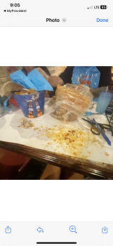 Consumer Review - Food Safety Angry Crab Shack, East Broadway Boulevard, Tucson, AZ, USA Saturday night July 8 2023 I ordered shri... photo #4