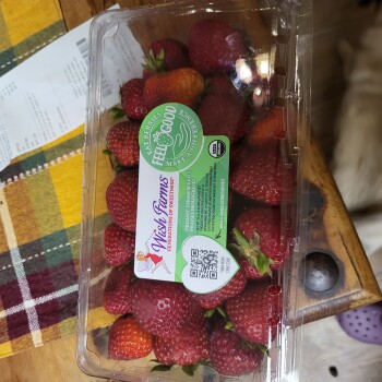 Reseña del consumidor - Seguridad alimentaria 99 Cents Only Stores, 26100 Newport Road, Menifee, CA, USA 7/19/23 Either fresh cherries (most likel... foto #7