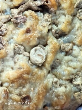 Relatório de segurança alimentar do consumidor Hardee's, 400 State Highway 125, Strafford, MO, USA Bugs in my burger meat? Purchased lunch at Harde... foto #2