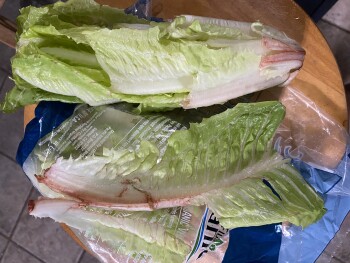 Verbraucherbewertung – Lebensmittelsicherheit Lidl, Dorchester Road, North Charleston, SC, USA Today I ate food from Lidl and got extremely sick t... Foto #5