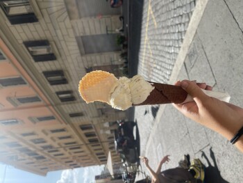 消费者评论 - 食品安全 Rome, Metropolitan City of Rome Capital, Italy Suspected food poisoning. Symptoms: Diarrhea, Nausea,... 照片 #2