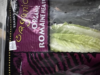 مراجعة المستهلك - سلامة الغذاء Organic Romaine Salad, Trader Joe's, South Voss Road, Houston, TX, USA Last night 9/2/2023 Trader Jo... صورة فوتوغرافية #2