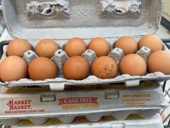 Consumer Food Safety Report Market Basket, Highland Avenue, Salem, Massachusetts, USA Market Basket Salem Massachusetts 08/31/20... photo #2